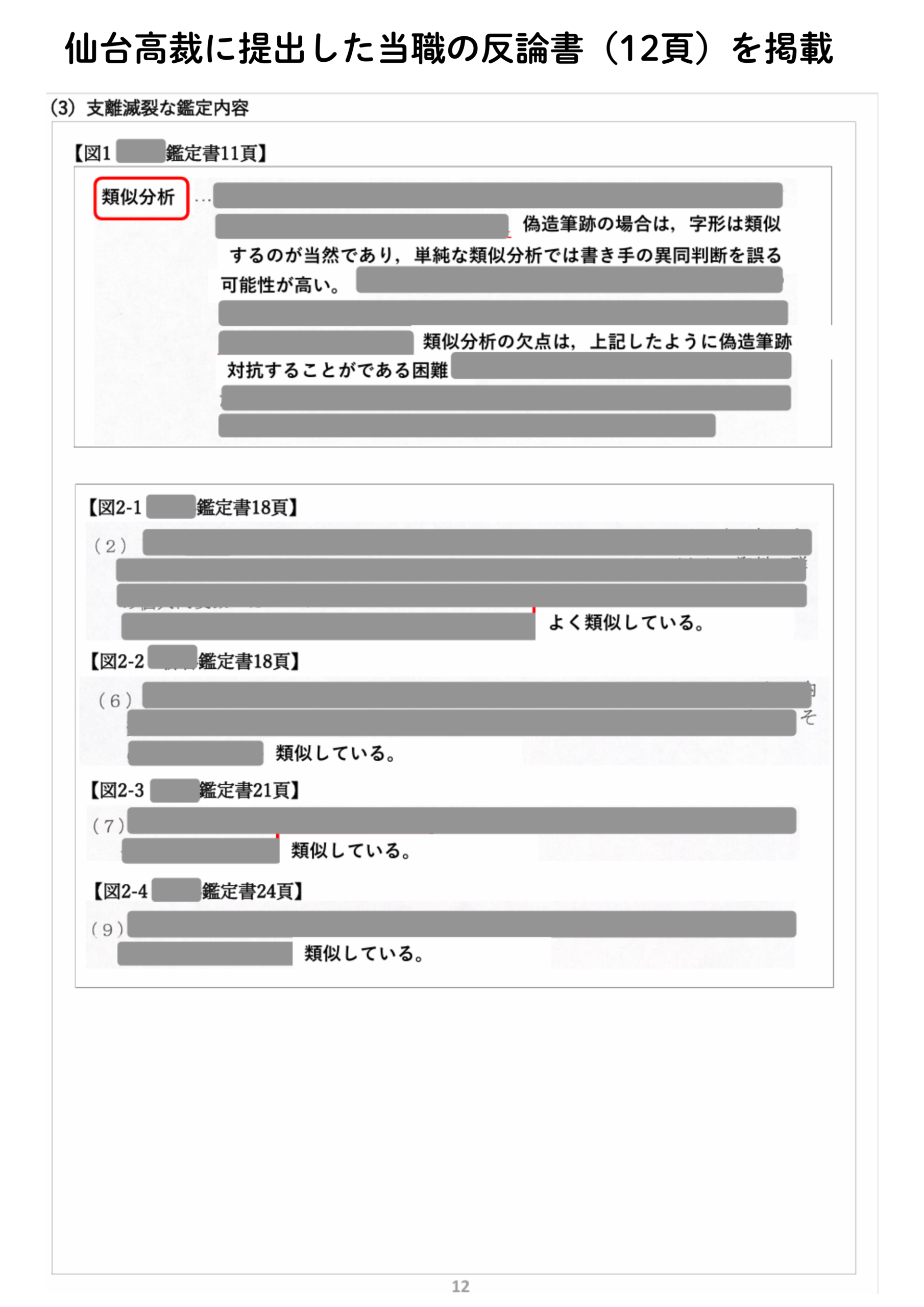 相手方鑑定書の自己矛盾と支離滅裂な内容を示す証拠